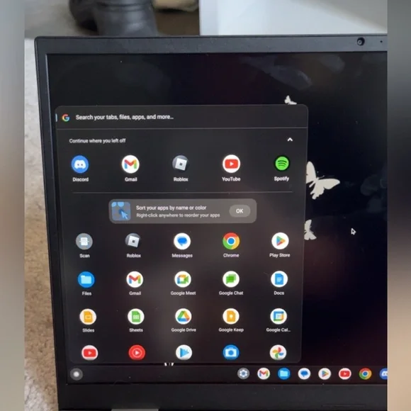 asus chromebook(silver)